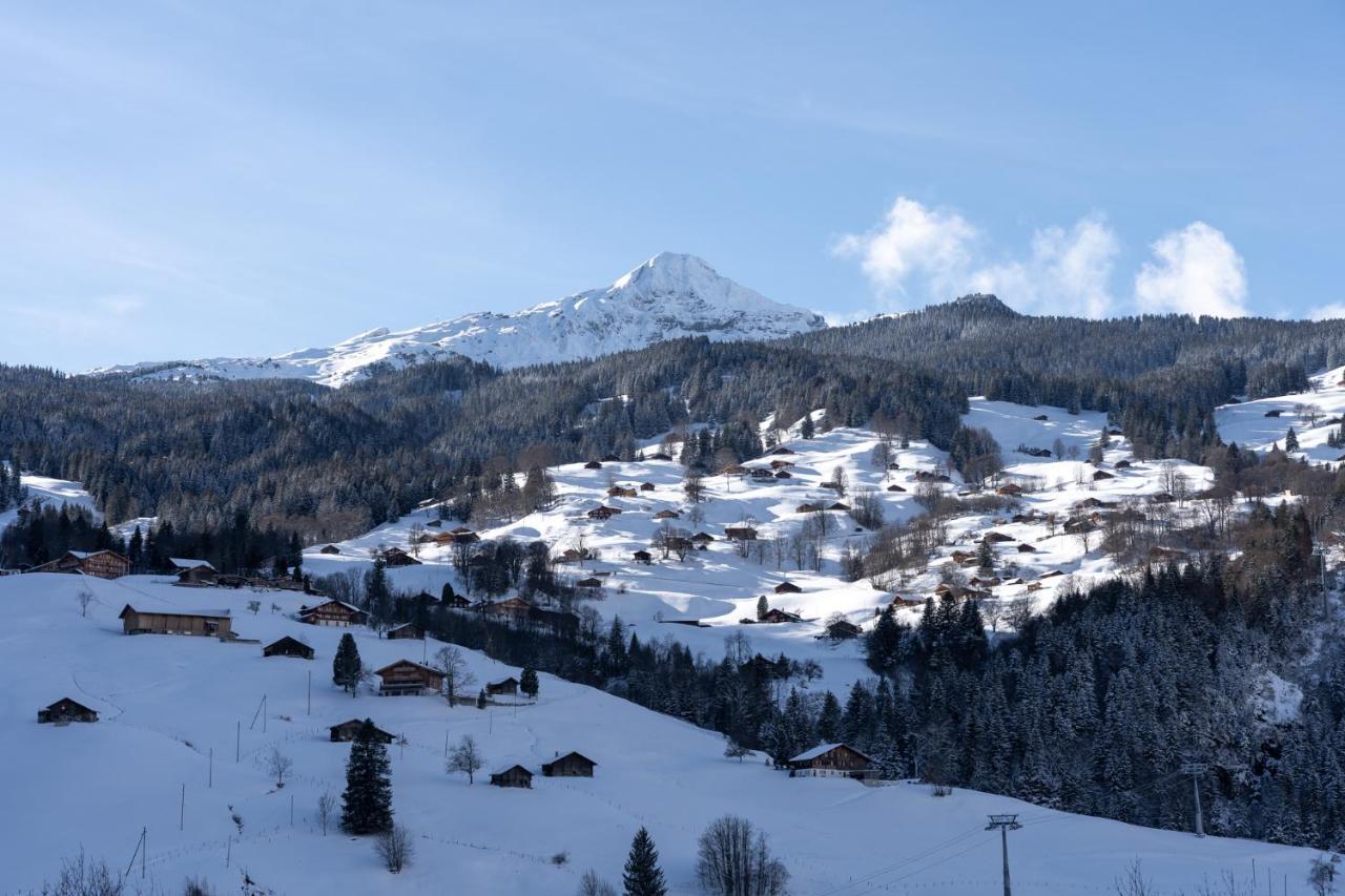 Apartamento The Glacier Express - Grindelhomes