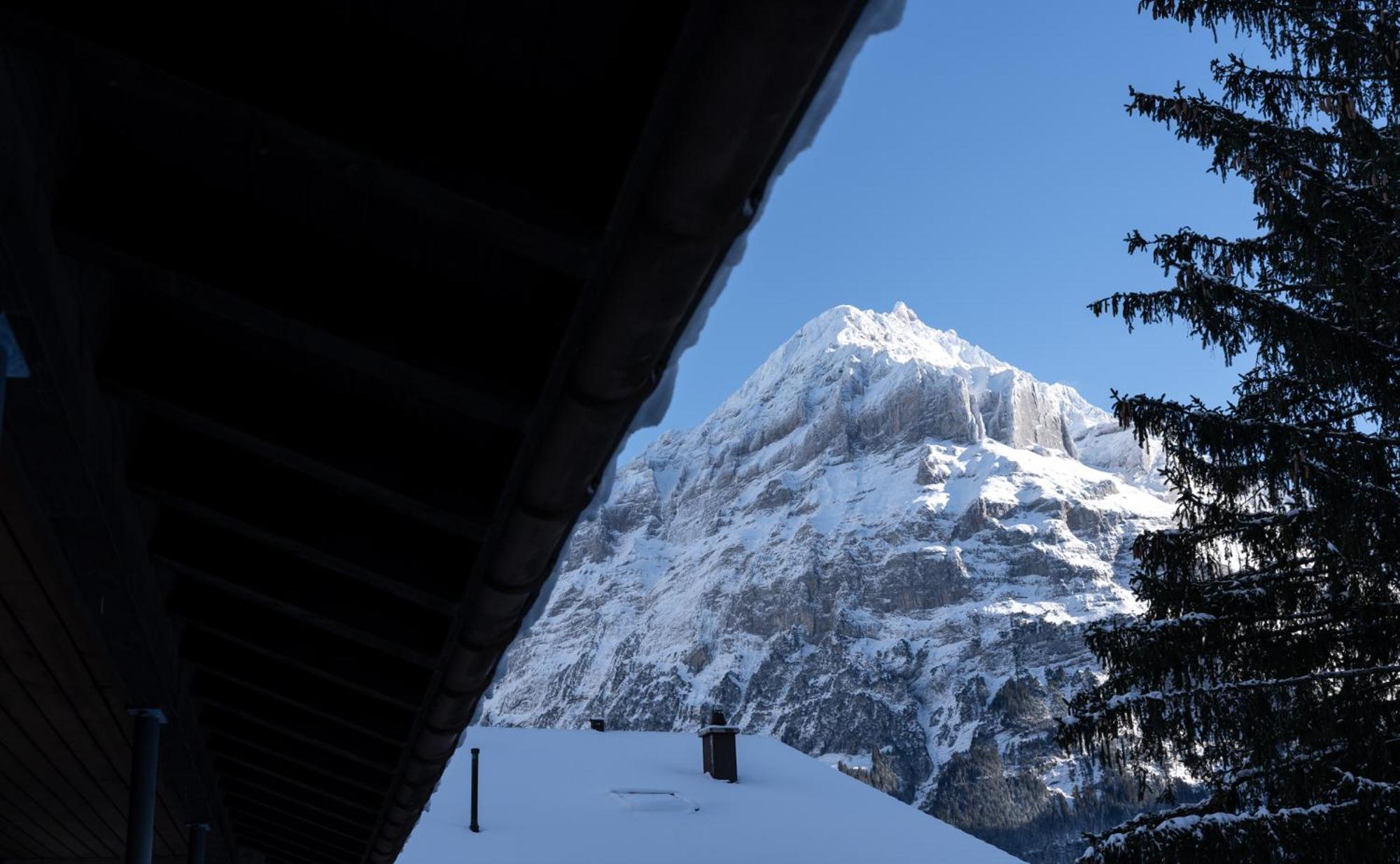 Apartamento The Glacier Express - Grindelhomes *